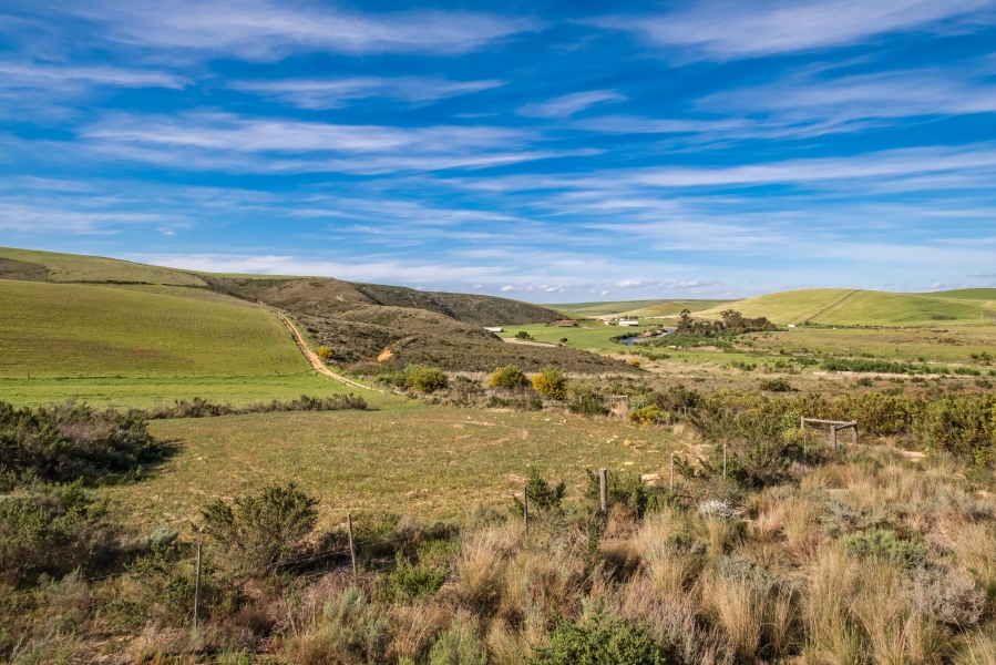 Commercial Property for Sale in Caledon Rural Western Cape